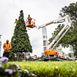 Picture of 11m (13m) Cherry Picker